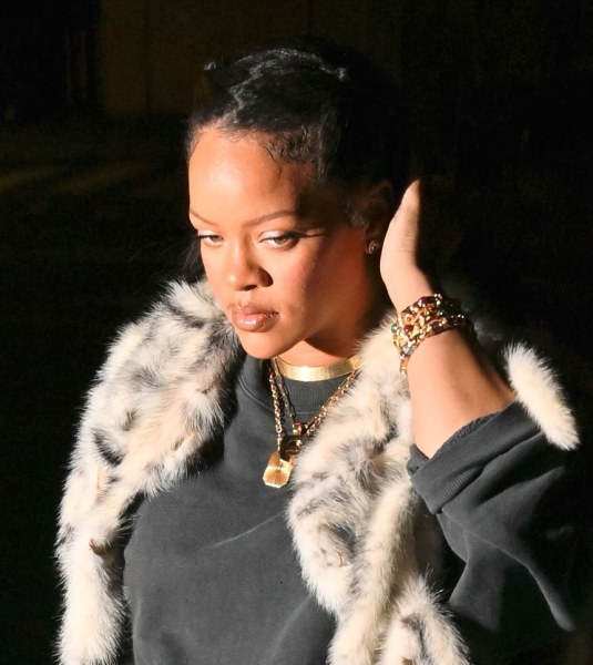 Rihanna with a zigzag part and braids